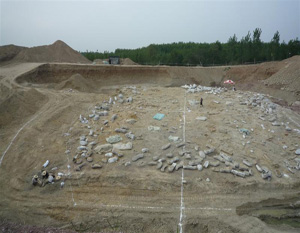 诸城恐龙涧化石修复车间项目